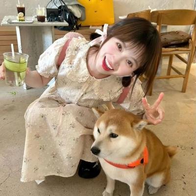 树篱女巫